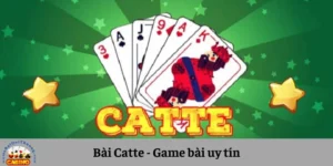 Bài Catte - Đấu Trí Cùng Cao Thủ Game Bài Trực Tuyến